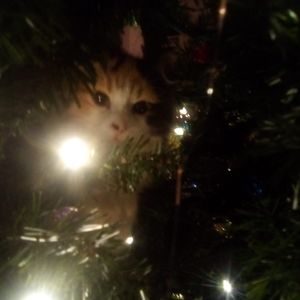 Meet your Posher, Eva